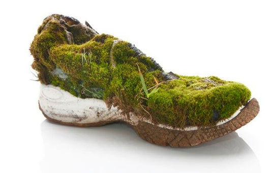 How Do You Know When You Need New Shoes?